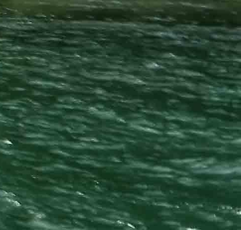 粉象生活免费流量