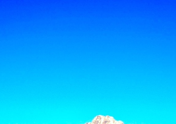 粉象生活下单得奖码