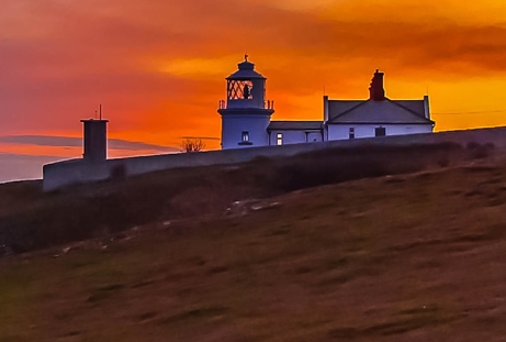粉象生活学习视频