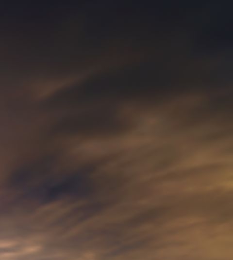 一淘和粉象生活哪个返利高