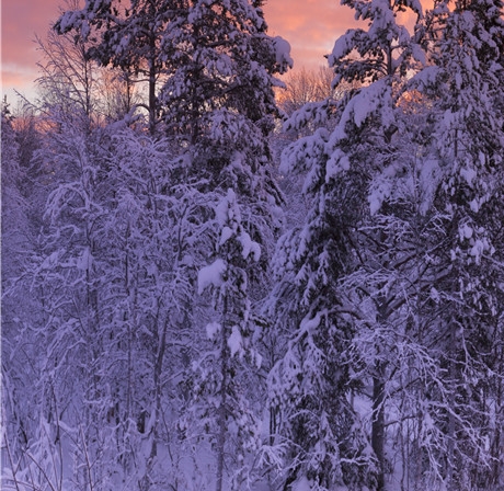 粉象生活怎么赚钱的