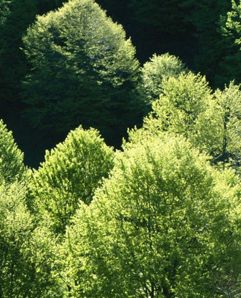 河南粉象生活真省钱