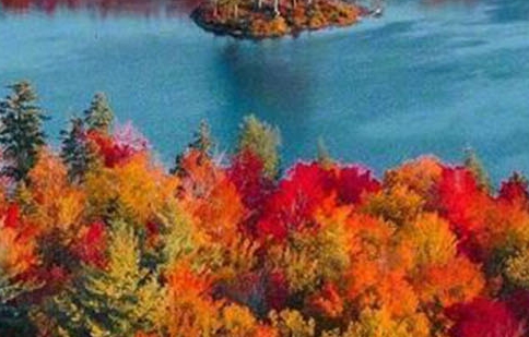 掌上生活兑换星巴克