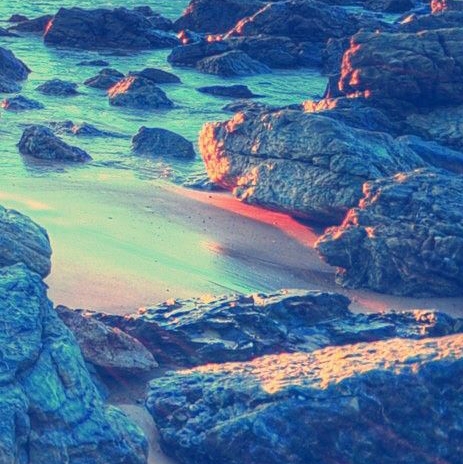 福建八闽生活下载