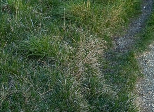 佛山粉象生活如何使用