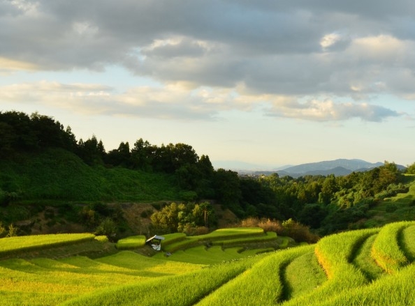 天猫生活就该这么爱