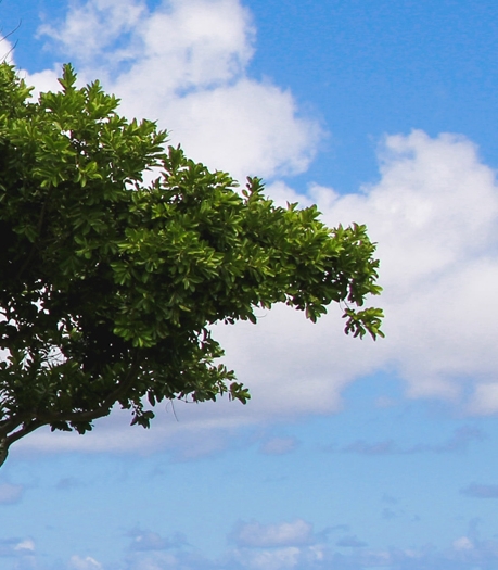 阳泉粉象生活app