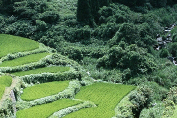 粉象生活下载app