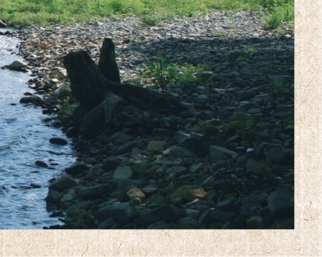 粉象生活购物ppt