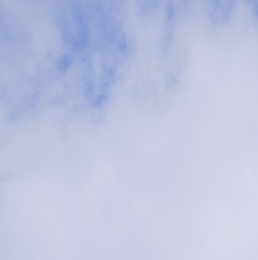 粉象生活收款时间