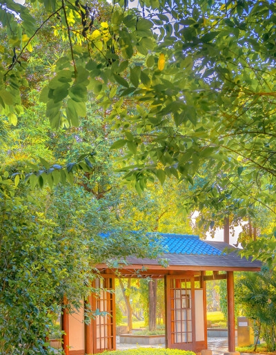 粉象生活是什么怎么样