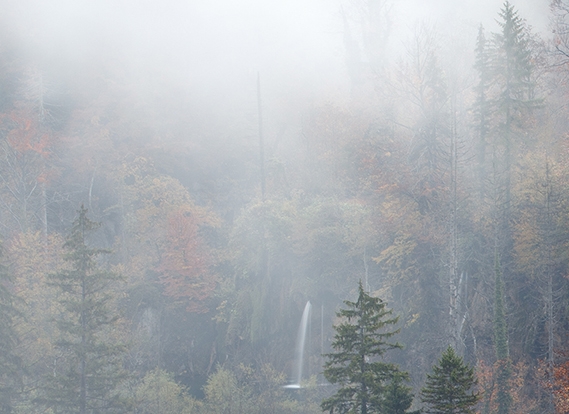 创业粉象生活感想