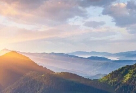 粉象生活赚钱教程