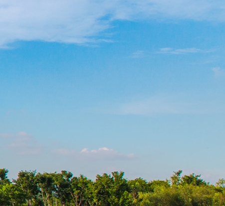 粉象生活卖货教程