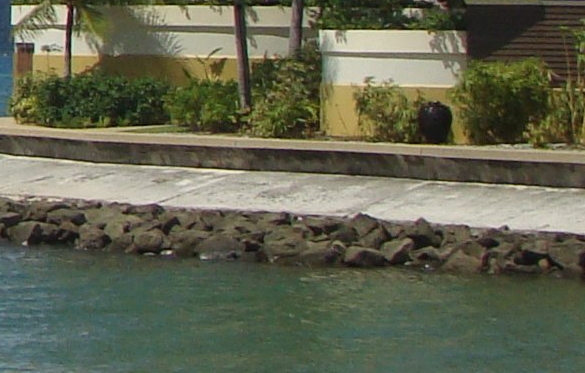 粉象生活加油怎么操作