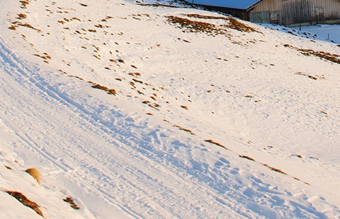 粉象生活真实收入
