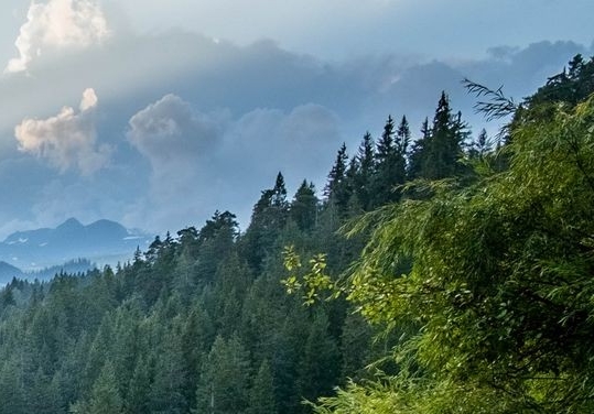 有没有类似于粉象生活的软件