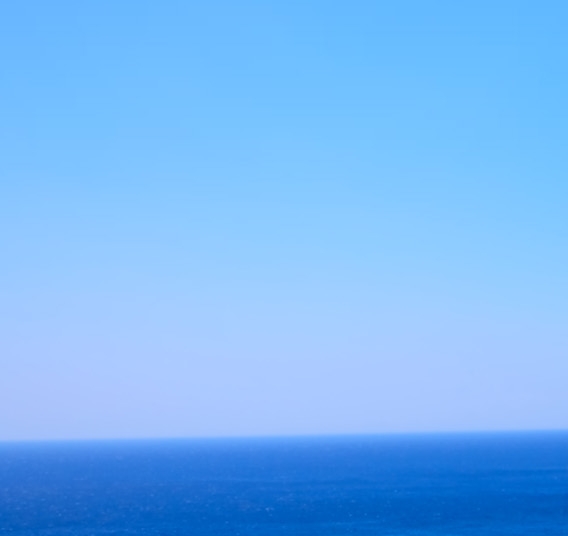 安庆粉象生活vip