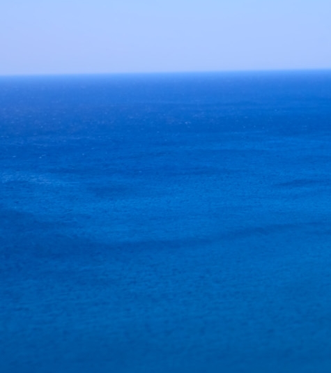 粉象生活平台app