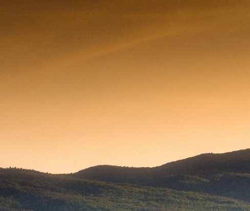 粉象生活是返利网吗