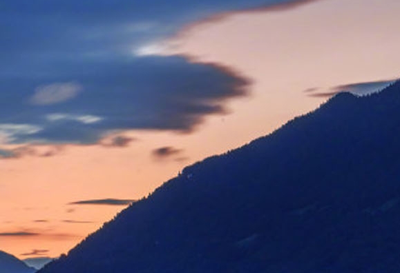 粉象生活骗局大揭秘