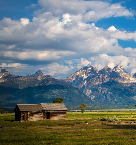 掌上生活砍价截图