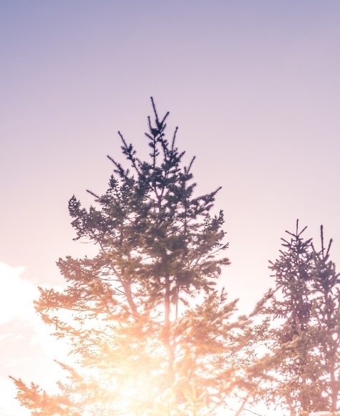 腾讯视频粉象生活