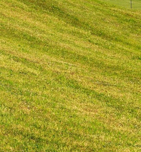 粉象生活可以赚钱吗