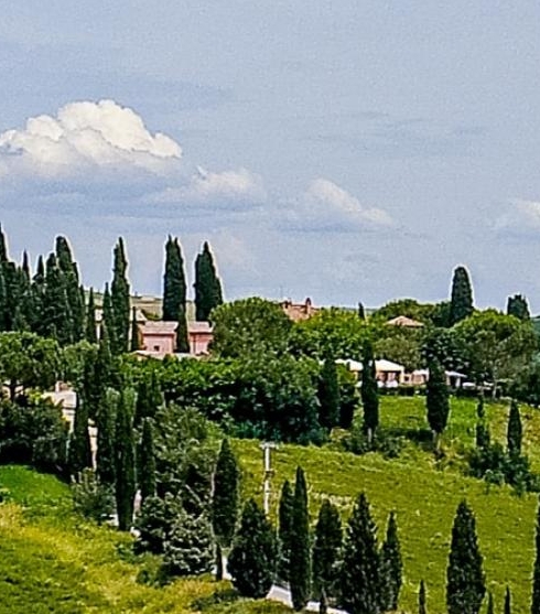 粉象生活邀请码