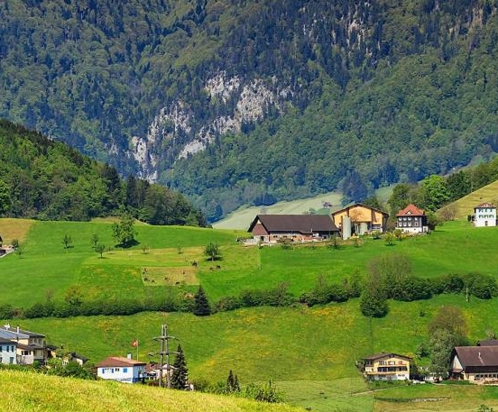 粉象生活等级和佣金