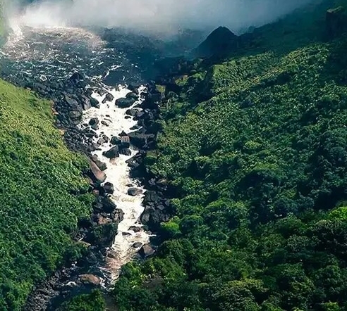粉象生活可以赚钱吗