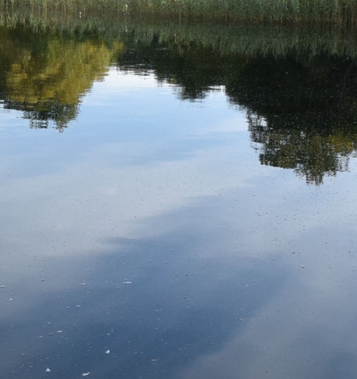 清远粉象生活收入