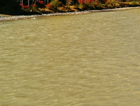 东莞粉象生活佣金