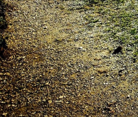 粉象生活收益体制