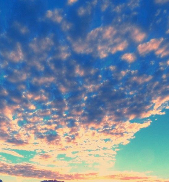 粉象生活下载app