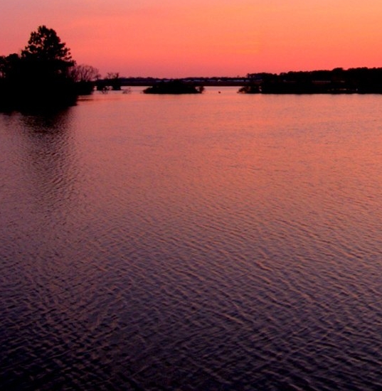 粉象生活官网首页