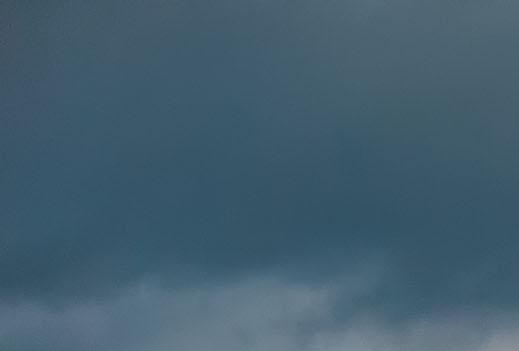 遵义粉象生活vip