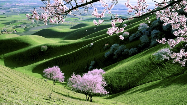 粉象生活怎么赚钱教程