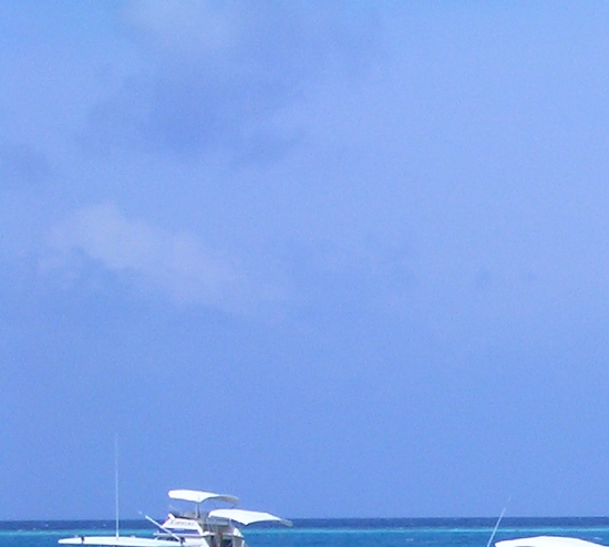 粉象生活招商平台