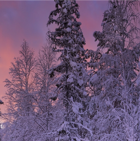 产品发布会开场白和结束语