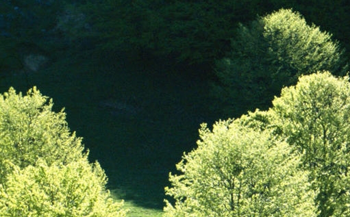 铁岭粉象生活app