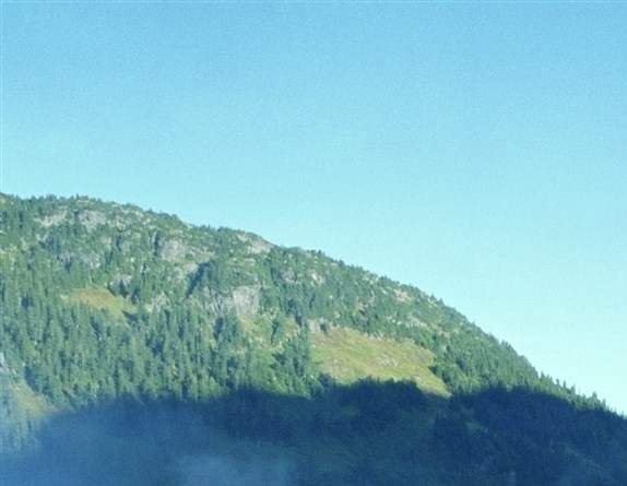 粉象生活下载app