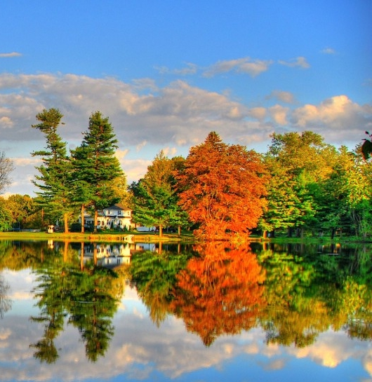 智慧生活怎么卸载