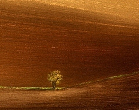 粉象生活真实收入