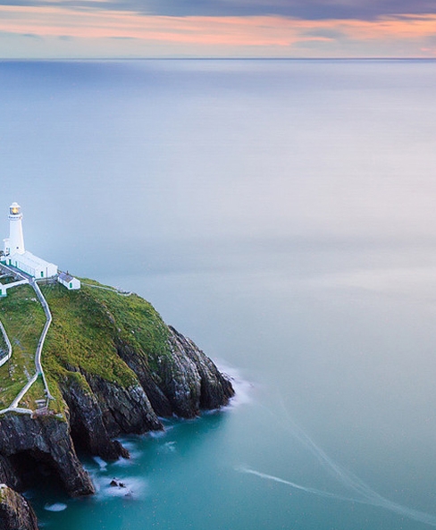 荆州粉象生活代理