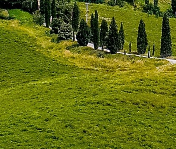 粉象生活代理几级