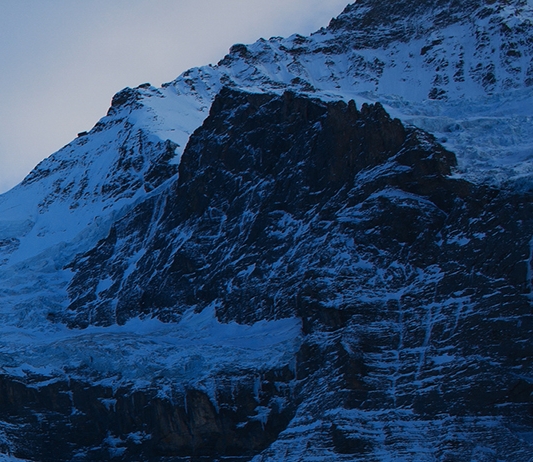 湖南正规粉象生活怎么样