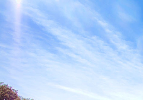 粉象生活APP怎么赚钱