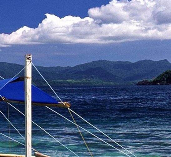 襄樊粉象生活推广