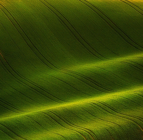 粉象生活是个什么样的平台
